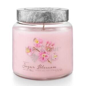 Tried & True Sugar Blossom Light Pink 15.5 oz. Soy Jar Candle NEW